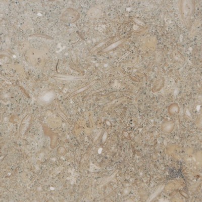 Seagrass Limestone